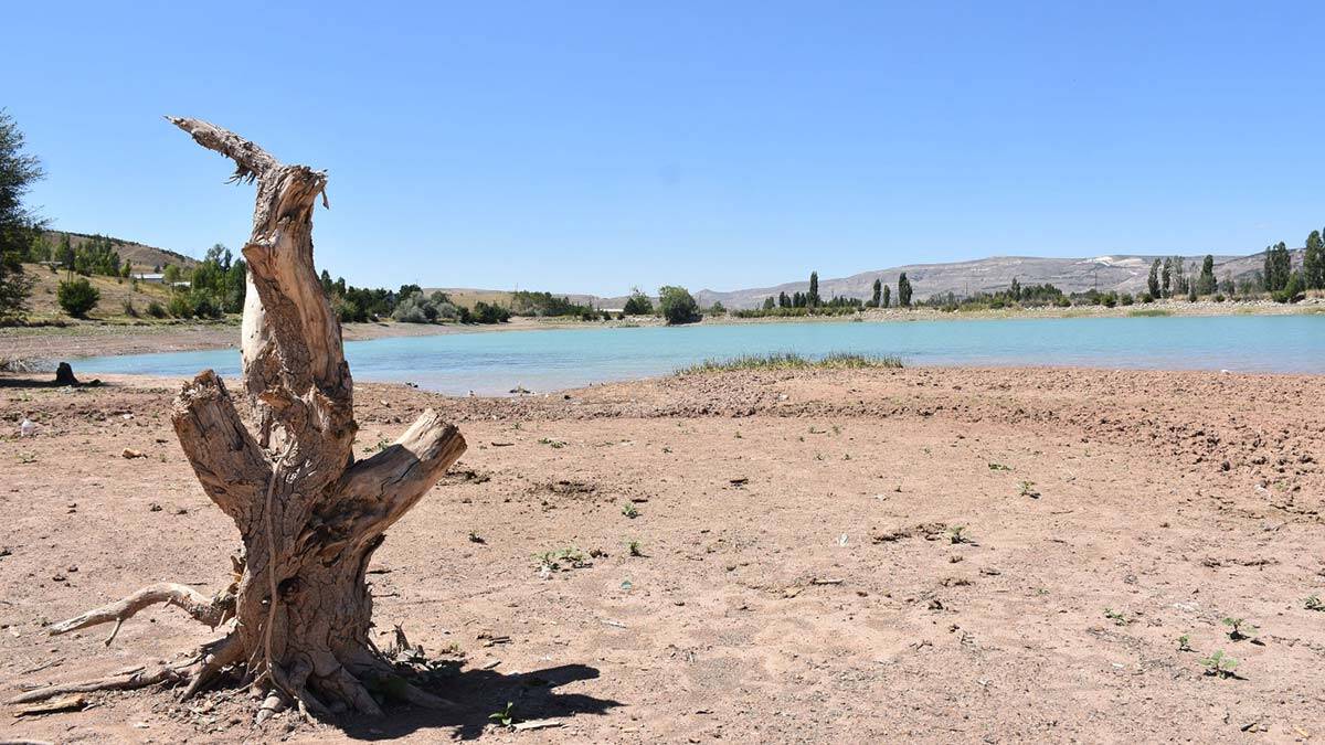 Bir milyar çocuk iklim krizi nedeniyle yüksek risk altında