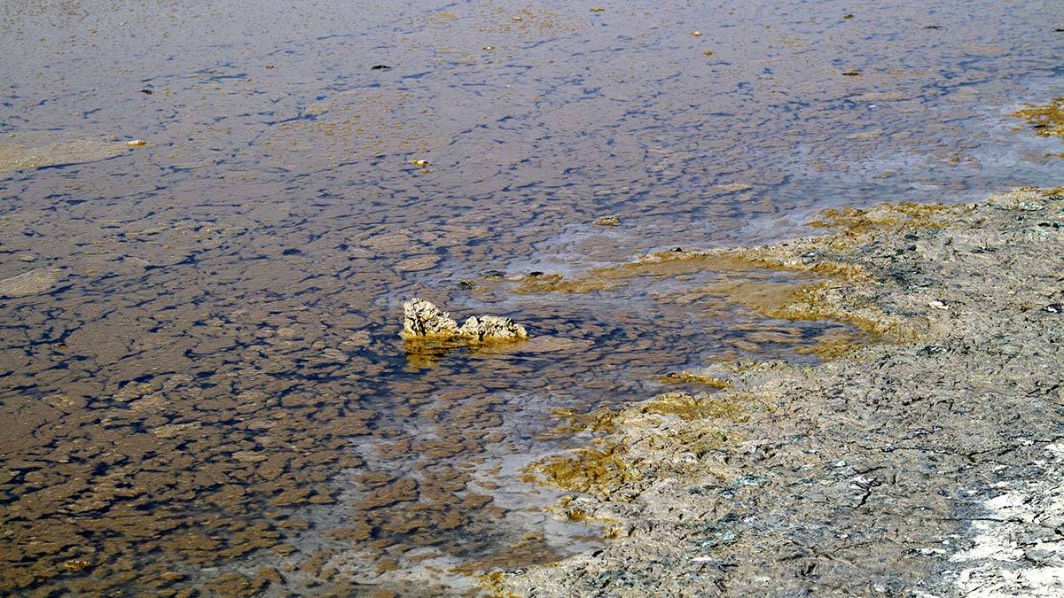 Burdur Gölü'nde alg patlaması
