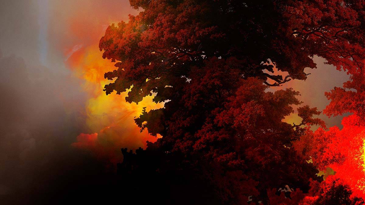 Tarihin en büyük yangınları