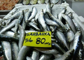 Balık tezgahlarında sardalyanın kilosu 80 lira