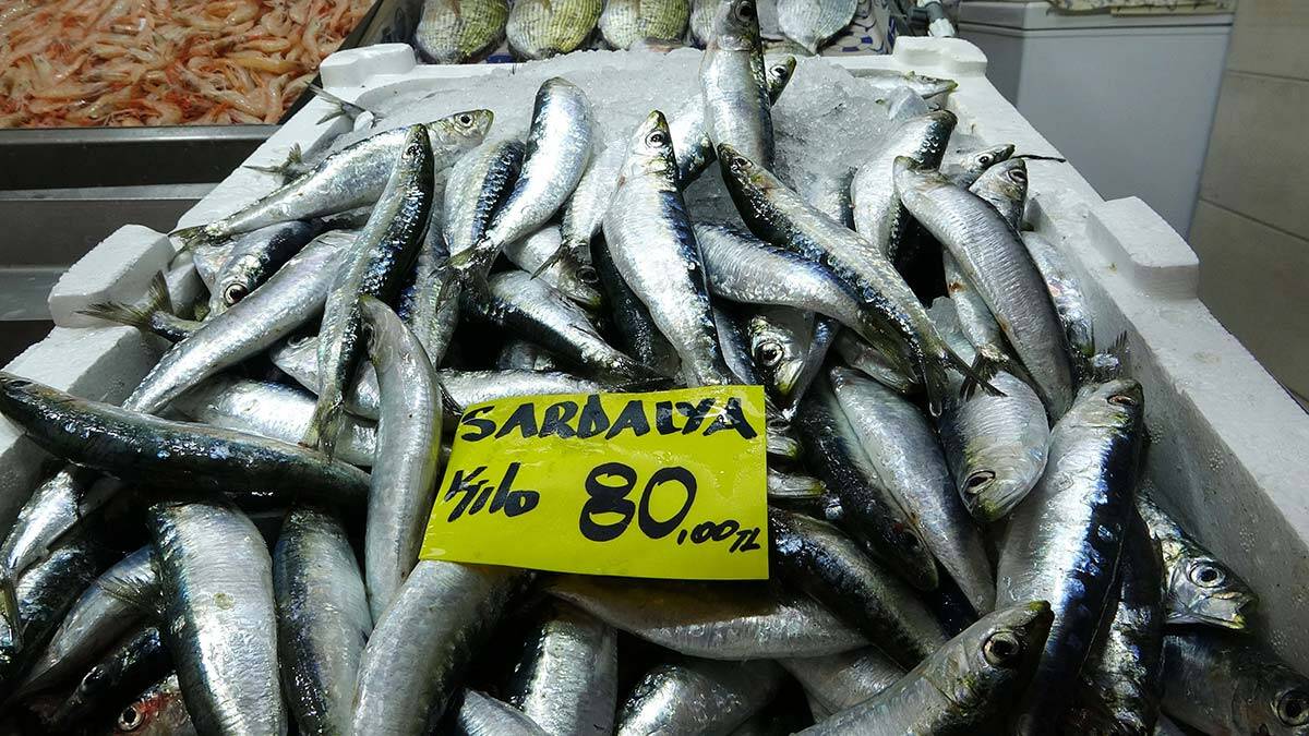 Balık tezgahlarında sardalyanın kilosu 80 lira