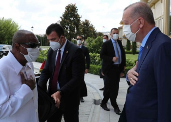 Cumhurbaşkanı Erdoğan, Gine Cumhurbaşkanı ile görüştü