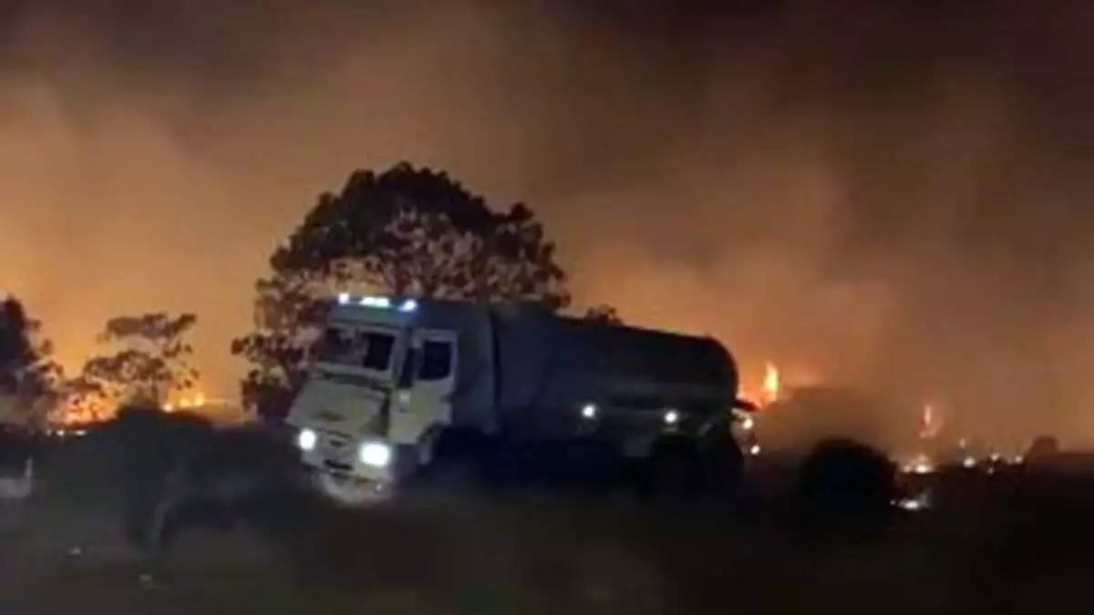 Didim'de 5 dönüm makilik alan yandı