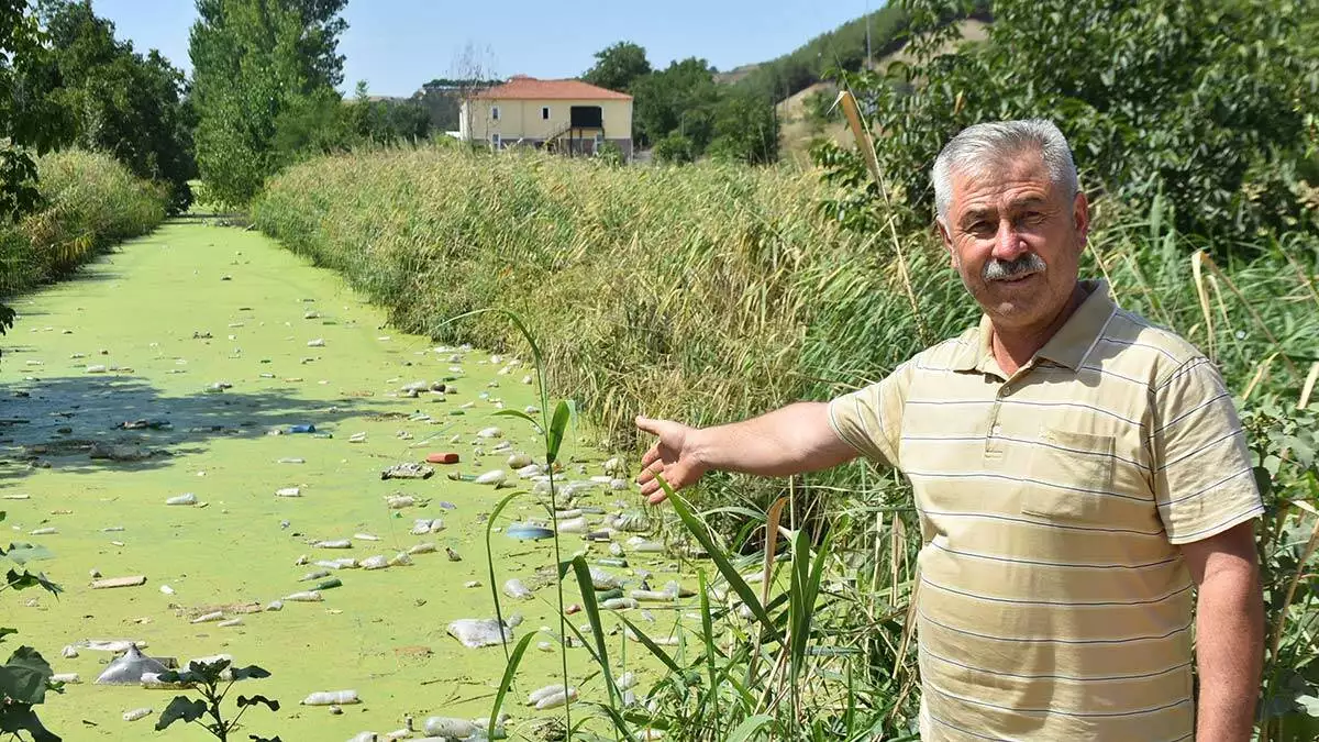 Bayır deresi kirlilikten yeşile büründü