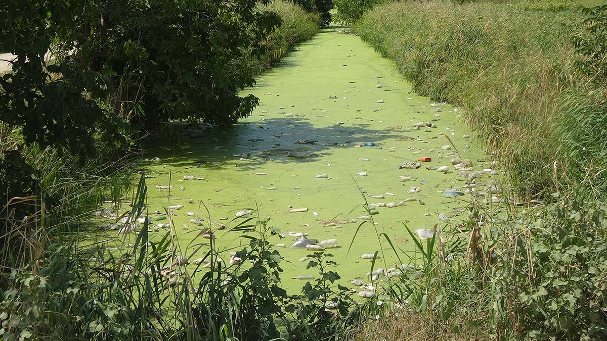 Bayır Deresi kirlilikten yeşile büründü