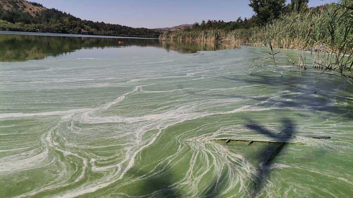 Eymir Gölü de kirlendi