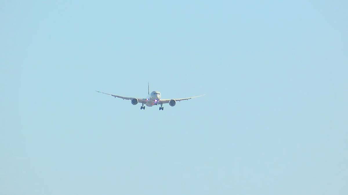 Kabil'den Türkleri getiren THY uçağı İstanbul Havalimanı'nda