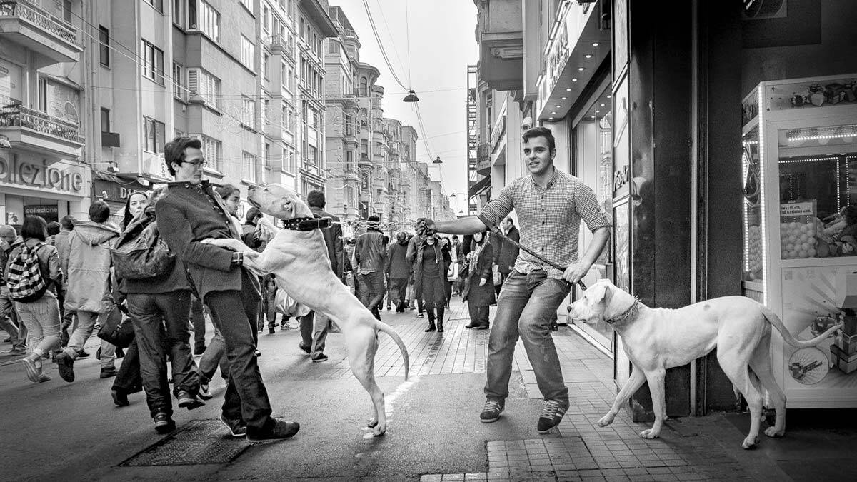 Fotosek'ten karma sergi