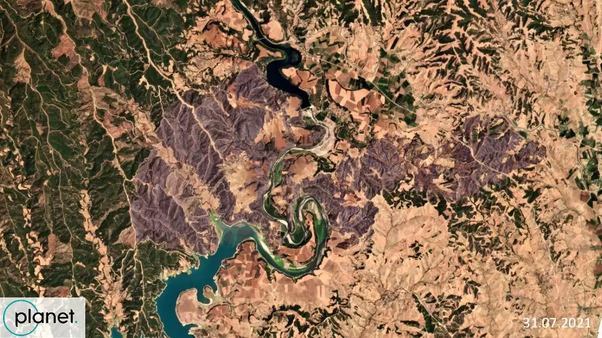 Greenpeace yanan alanların uydu görüntüsünü paylaştı