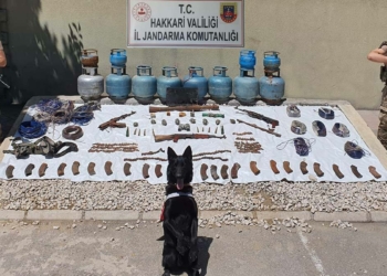 PKK'ya ait silah ve mühimmat ele geçirildi
