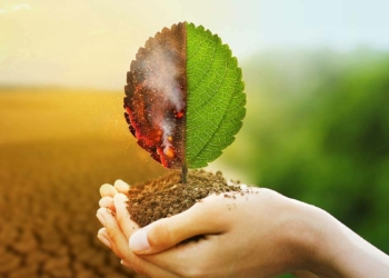 Gelecekten çalmayı bırakalım