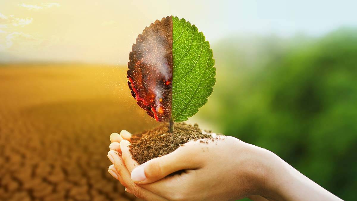 Gelecekten çalmayı bırakalım