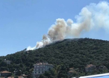 Heybeliada'da orman yangın