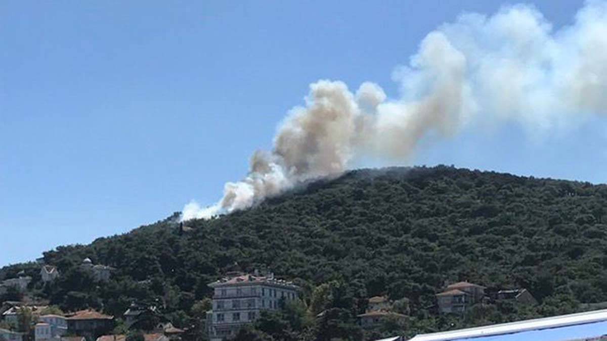 Heybeliada'da orman yangın