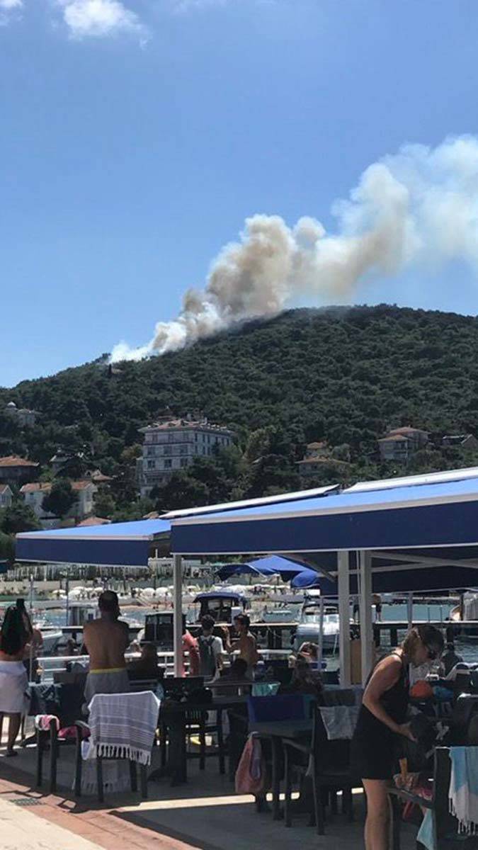 Heybeliada'da orman yangın