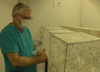 İBB ve uzmanlar arasında sivrisinek ilaçlama tartışması
