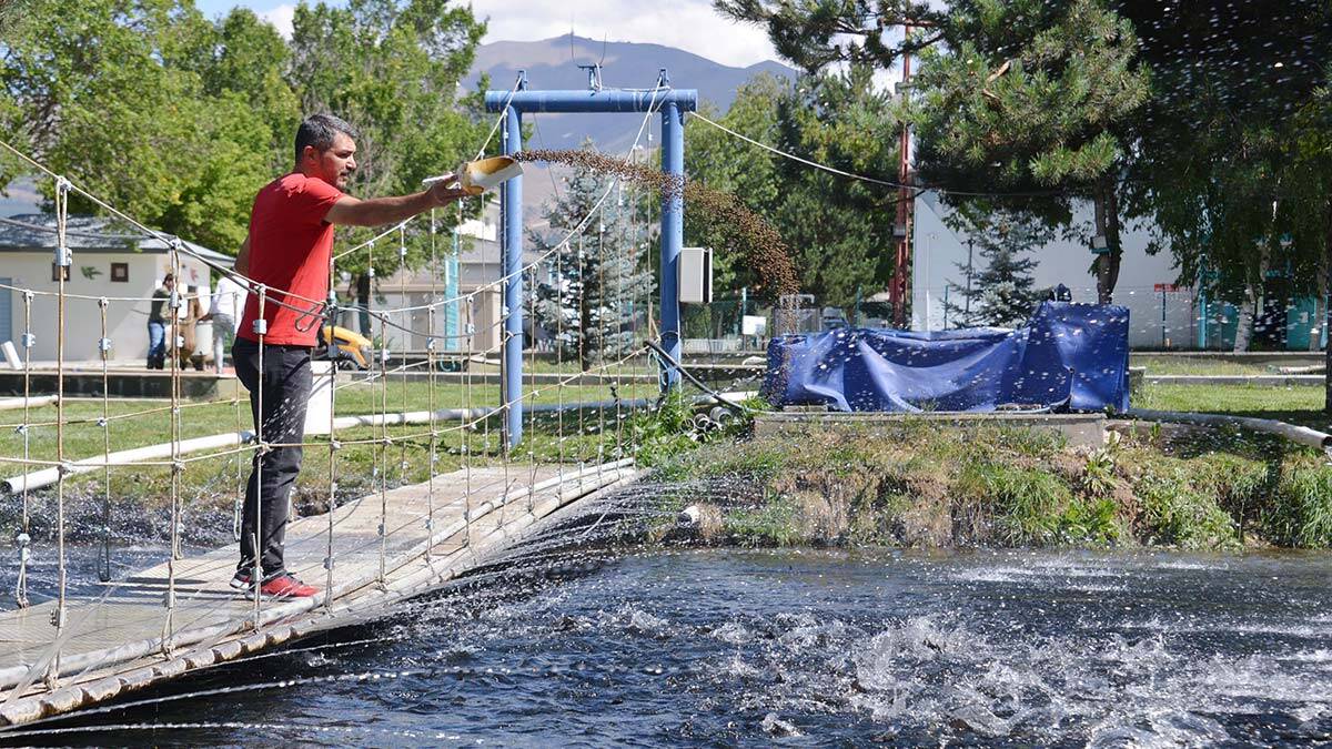 Dünyanın dengesini bozan iklim değişikliğinin, tarımsal gıda üretimini olumsuz etkilediğine dikkat çeken Gökhan Arslan, "İklim değişikliği gıda kaynaklarını azalttı" dedi.
