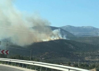 İzmir'de makilik alanda yangın