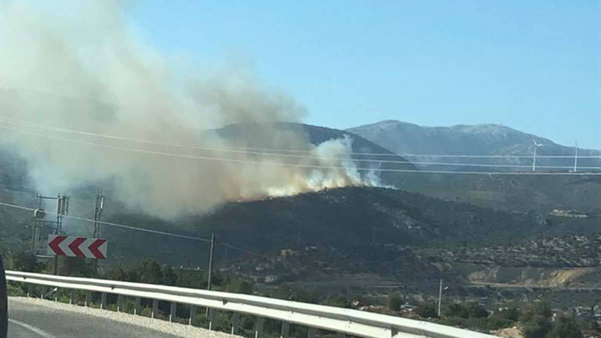 İzmir'de makilik alanda yangın