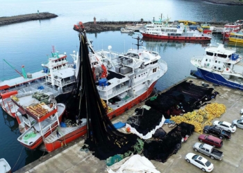 Karadeniz'de balıkçılar av sezonu hazırlığında