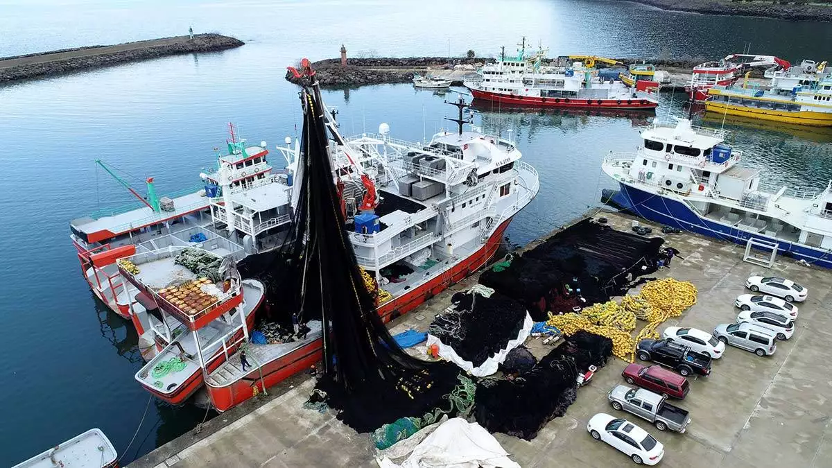 Karadeniz'de balıkçılar av sezonu hazırlığında