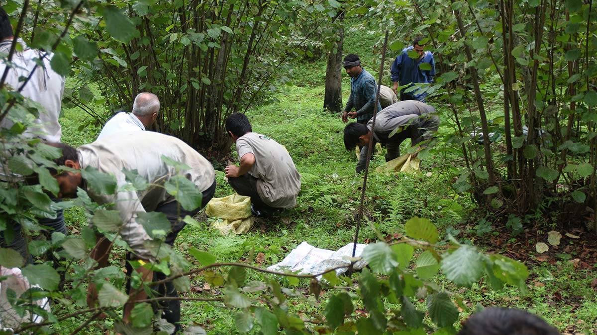 Afgan göçmenler ülkelerinde barış istiyor