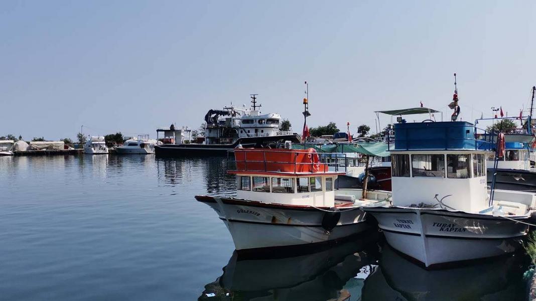 Karadenizli balıkçıların hamsi ve istavrit umudu