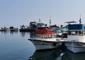 Karadenizli balıkçıların hamsi ve istavrit umudu