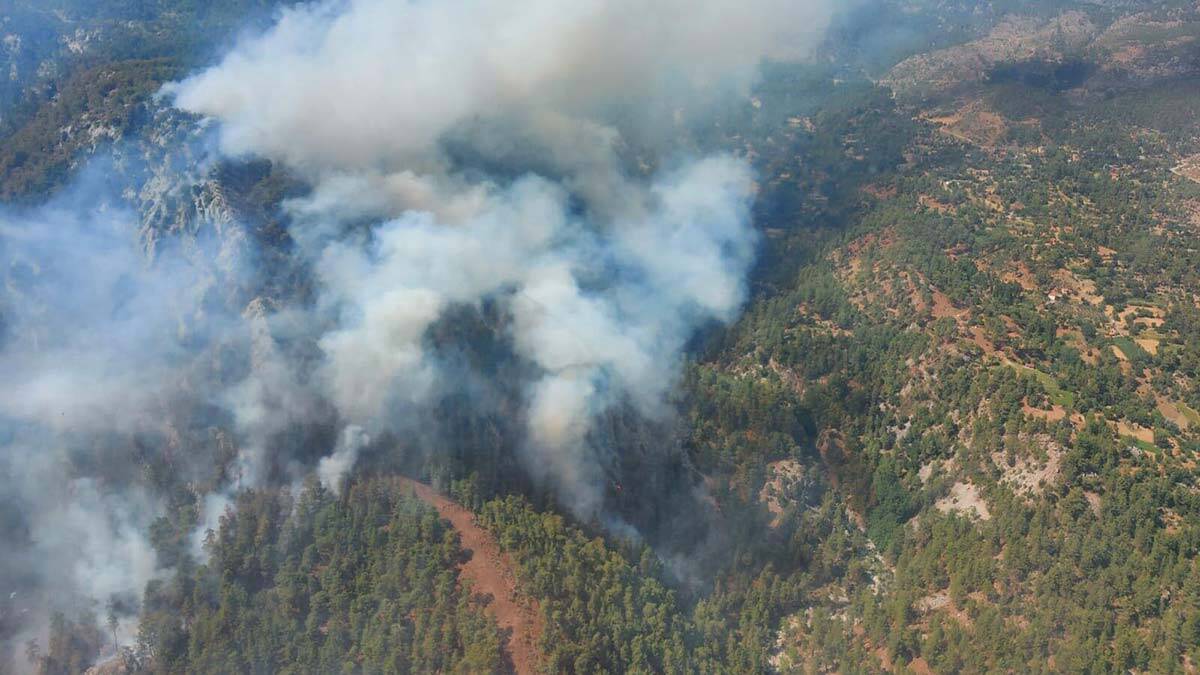 Köyceğiz'de orman yangını