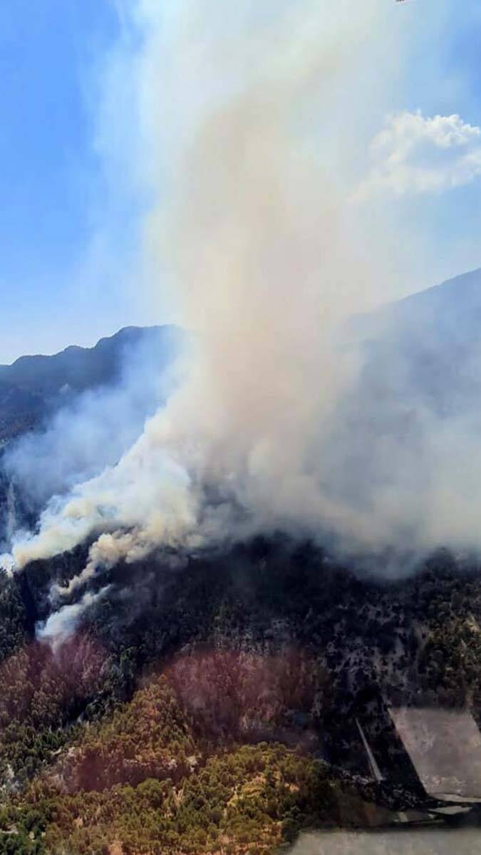 Sarp bölgedeki yangına 8 helikopter ve 2 uçakla müdahale ediliyor.