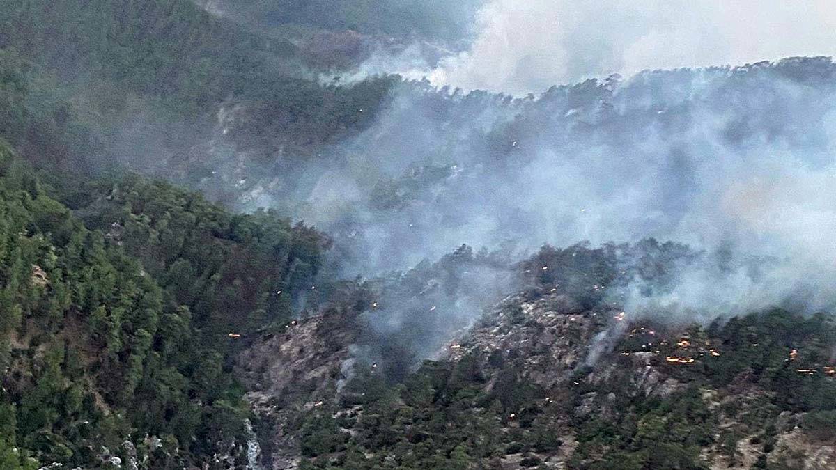 Köyceğiz'de soğutma çalışmaları sürüyor