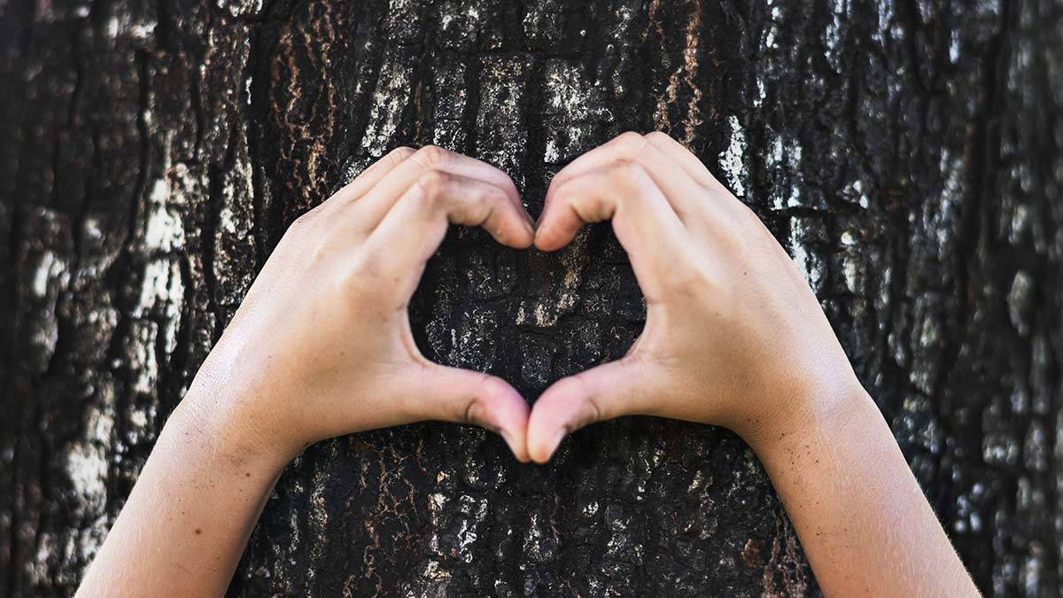Hayat sana inat iyi kalacağım