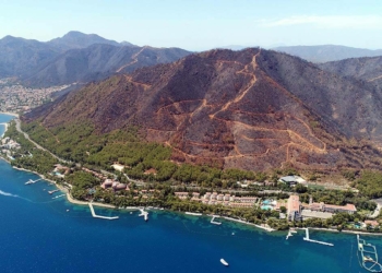 13 bin 650 hektarın yandığı orman alanları görüntülendi