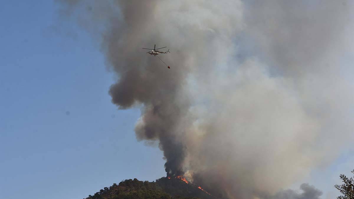 Alevler Hisarönü ve Orhaniye'de yoğunlaştı