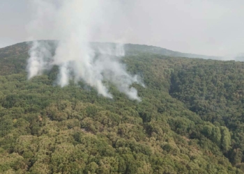 Tunceli'de orman yangınına müdahale sürüyor