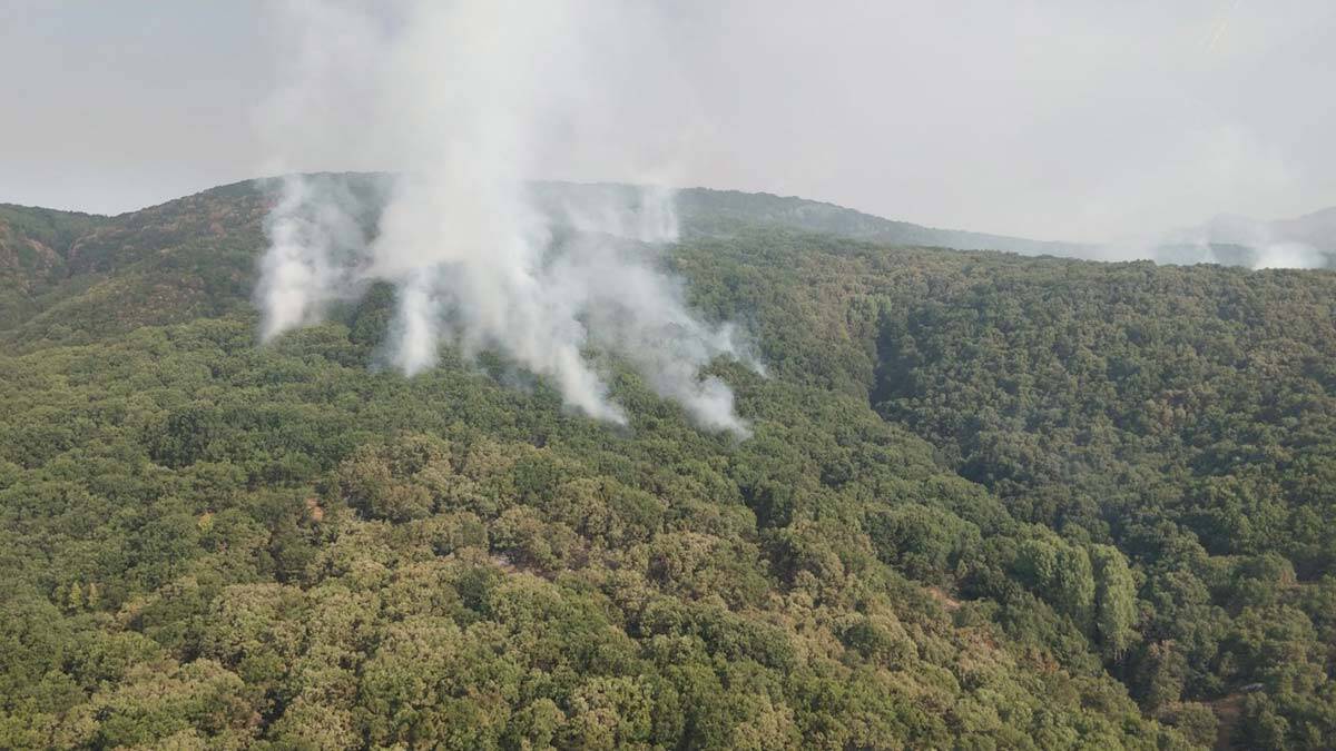 Tunceli'de orman yangınına müdahale sürüyor