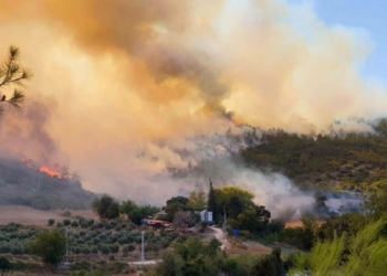 Yangınları çaresizlik içinde izliyoruz