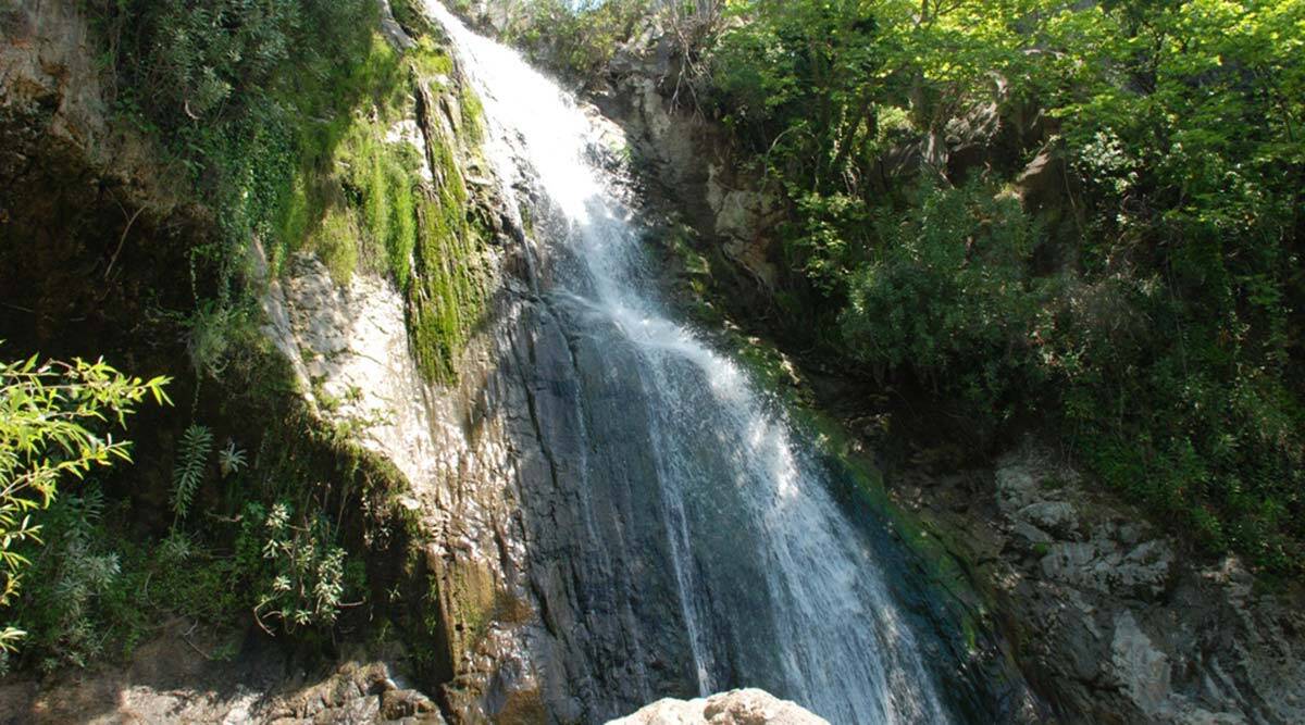 Dikili'deki altın madeniyle ilgili sevindiren karar! Başkan Soyer: Doğamızı korumak için her alanda mücadele edeceğiz.