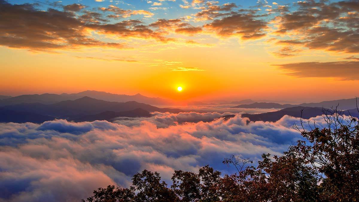 Uyanış: Her şafak, bir güneşe gebedir