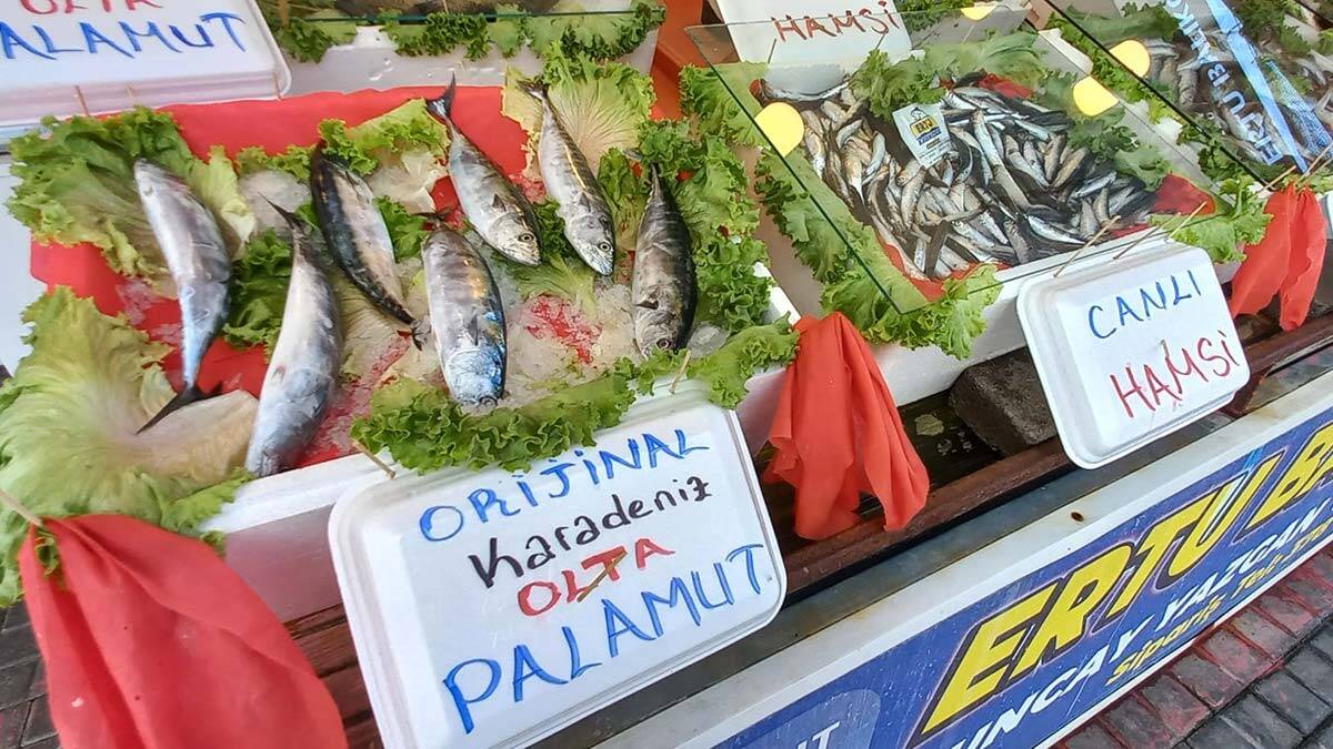 Sezonun ilk palamutları tezgahlardaki yerini aldı