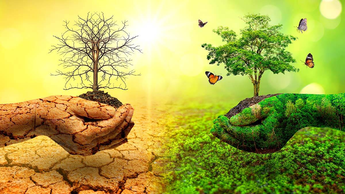 Dünyanın bize mesajı var: Durun artık