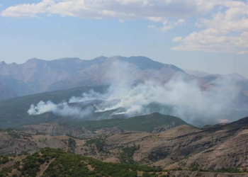 Tunceli'de örtü yangını