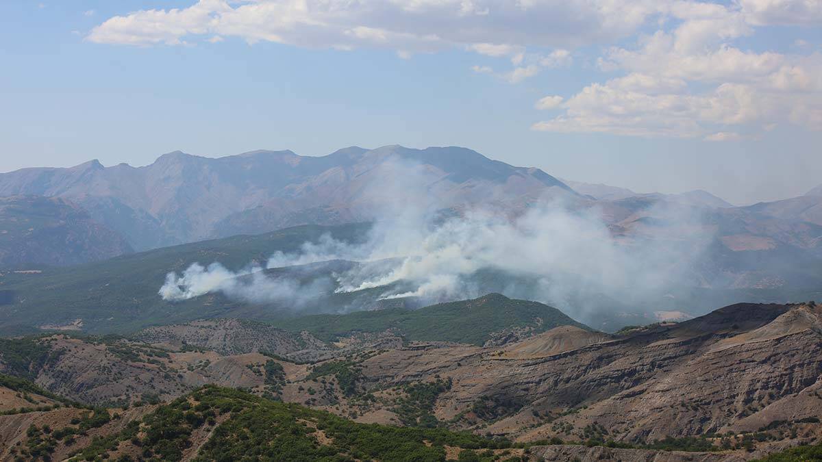Tunceli'de örtü yangını