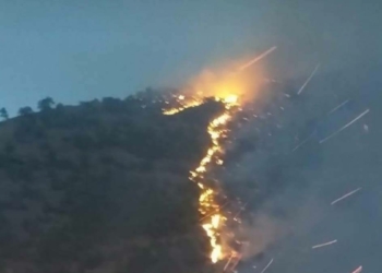 Tunceli'de örtü yangınları kontrol altında