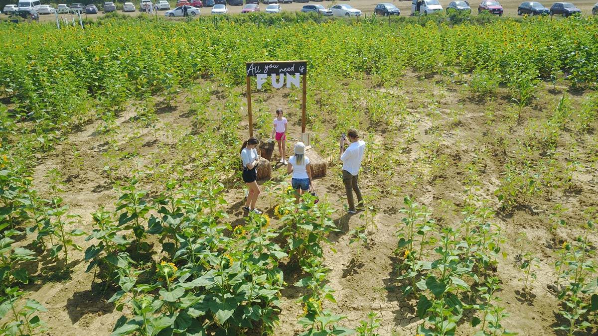 Türkiye'nin ilk Mısır Labirenti kapılarını açtı