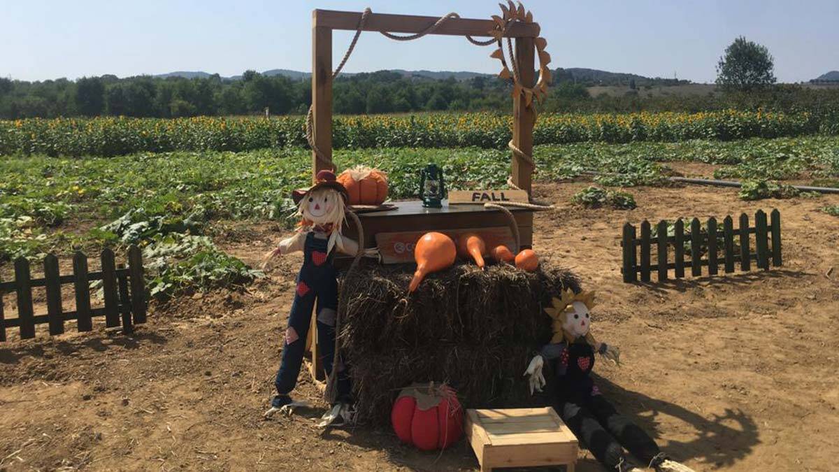 Türkiye'nin ilk Mısır Labirenti kapılarını açtı