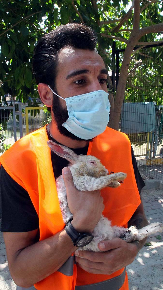 Vahşi yaşam yok oldu