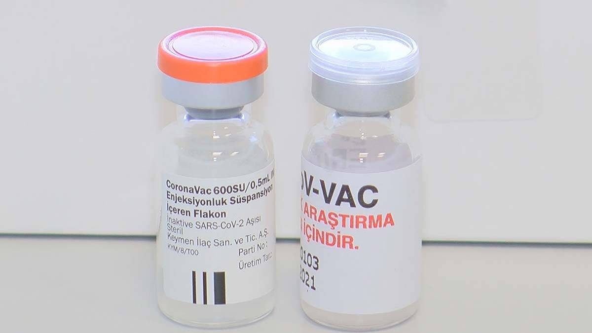 Yerli aşı mı Çin aşısı mı daha etkili