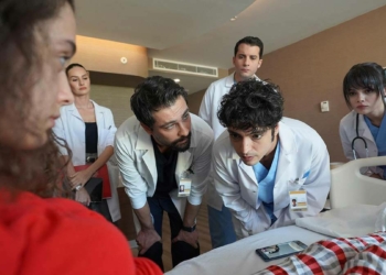 Bir dizi çalışma hayatı