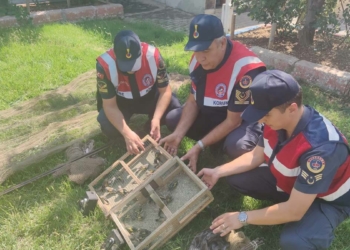 33 saka kuşu avına 43 bin lira ceza